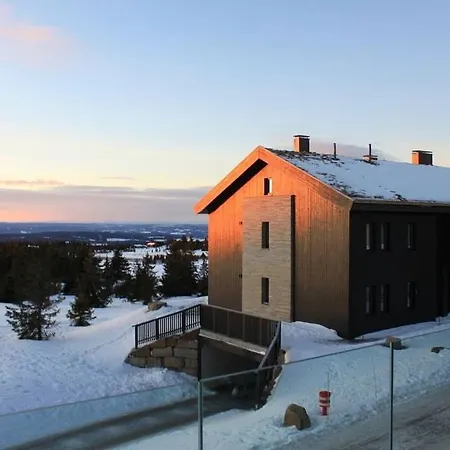Hafjelltoppen アパート