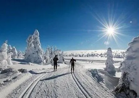 Hafjelltoppen ハーフィエル